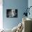 Underwater Habitat-null-Mounted Photographic Print displayed on a wall