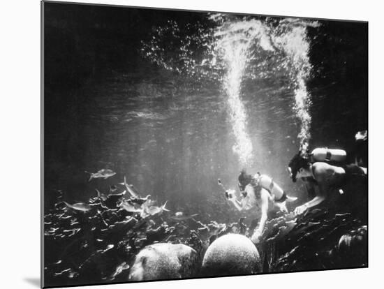 Underwater Habitat-null-Mounted Photographic Print