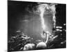 Underwater Habitat-null-Mounted Photographic Print