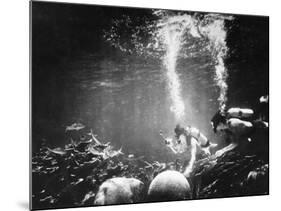 Underwater Habitat-null-Mounted Photographic Print