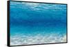 Underwater I-James Wiens-Framed Stretched Canvas