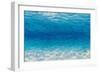 Underwater I-James Wiens-Framed Art Print