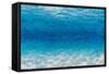 Underwater I-James Wiens-Framed Stretched Canvas