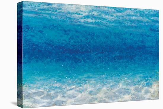 Underwater I-James Wiens-Stretched Canvas