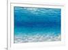 Underwater I-James Wiens-Framed Art Print