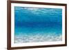 Underwater I-James Wiens-Framed Art Print