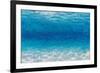 Underwater I-James Wiens-Framed Art Print