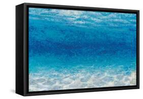 Underwater I-James Wiens-Framed Stretched Canvas