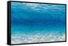 Underwater I-James Wiens-Framed Stretched Canvas