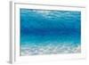 Underwater I-James Wiens-Framed Art Print