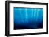 Underwater Iceberg, Antarctic Peninsula-Paul Souders-Framed Photographic Print