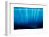 Underwater Iceberg, Antarctic Peninsula-Paul Souders-Framed Photographic Print