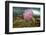 Underwater Jellyfish in Cuverville Island, Antarctica-Paul Souders-Framed Photographic Print