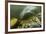 Underwater Leopard Seal, Antarctica-Paul Souders-Framed Photographic Print