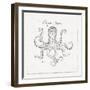 Underwater Life III-Daphne Brissonnet-Framed Art Print