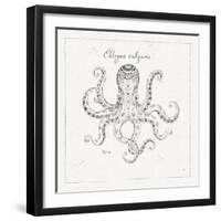 Underwater Life III-Daphne Brissonnet-Framed Art Print