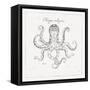 Underwater Life III-Daphne Brissonnet-Framed Stretched Canvas