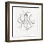 Underwater Life III-Daphne Brissonnet-Framed Art Print