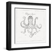 Underwater Life III-Daphne Brissonnet-Framed Art Print