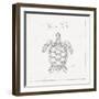 Underwater Life VIII-Daphne Brissonnet-Framed Art Print