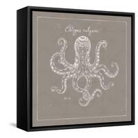 Underwater Life XI Greige-Daphne Brissonnet-Framed Stretched Canvas