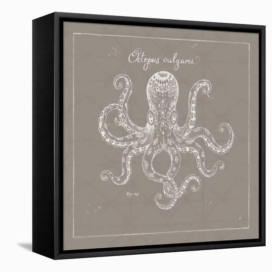 Underwater Life XI Greige-Daphne Brissonnet-Framed Stretched Canvas