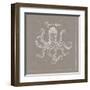 Underwater Life XI Greige-Daphne Brissonnet-Framed Art Print