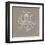 Underwater Life XI Greige-Daphne Brissonnet-Framed Art Print