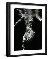 Underwater Nude, 1979-Brett Weston-Framed Photographic Print