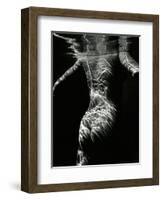 Underwater Nude, 1979-Brett Weston-Framed Photographic Print