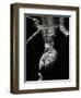 Underwater Nude, 1979-Brett Weston-Framed Photographic Print