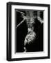 Underwater Nude, 1979-Brett Weston-Framed Photographic Print