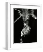 Underwater Nude, 1979-Brett Weston-Framed Photographic Print