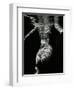 Underwater Nude, 1979-Brett Weston-Framed Photographic Print