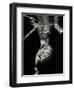 Underwater Nude, 1979-Brett Weston-Framed Premium Photographic Print