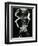 Underwater Nude, 1981-Brett Weston-Framed Premium Photographic Print