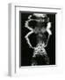 Underwater Nude, 1981-Brett Weston-Framed Premium Photographic Print