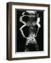 Underwater Nude, 1981-Brett Weston-Framed Photographic Print