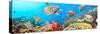 Underwater Panorama-GoodOlga-Stretched Canvas