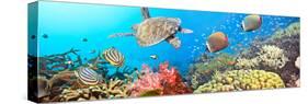 Underwater Panorama-GoodOlga-Stretched Canvas