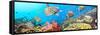 Underwater Panorama-GoodOlga-Framed Stretched Canvas