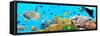 Underwater Panorama-GoodOlga-Framed Stretched Canvas