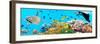 Underwater Panorama-GoodOlga-Framed Photographic Print