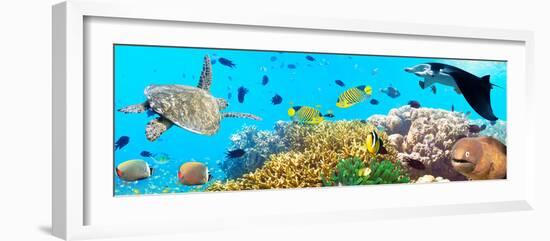 Underwater Panorama-GoodOlga-Framed Photographic Print