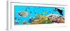 Underwater Panorama-GoodOlga-Framed Photographic Print