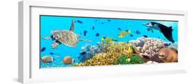 Underwater Panorama-GoodOlga-Framed Photographic Print