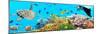 Underwater Panorama-GoodOlga-Mounted Photographic Print