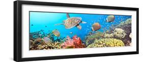 Underwater Panorama-GoodOlga-Framed Photographic Print