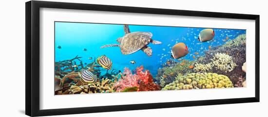 Underwater Panorama-GoodOlga-Framed Photographic Print