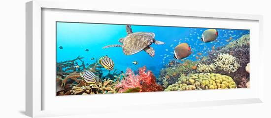 Underwater Panorama-GoodOlga-Framed Photographic Print